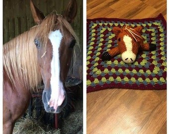 horse security blanket