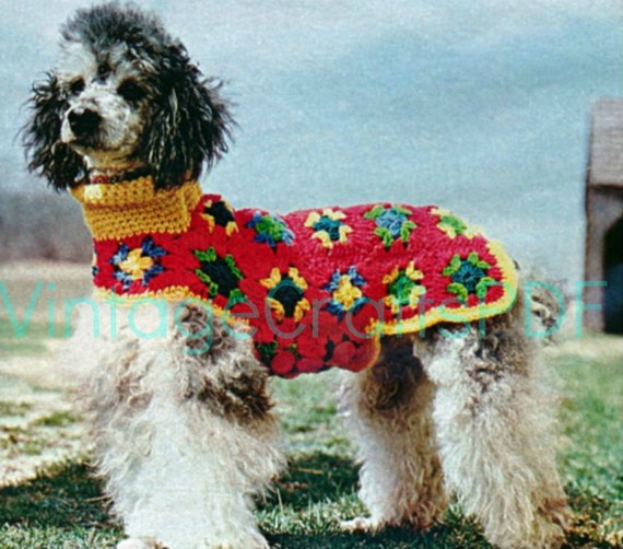 EASY Dog Coat Crochet Pattern Vintage 1970s Granny by VintageBeso