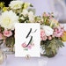 Rustic Calligraphy Wedding Table Numbers Printable, Print at Home Stationery, Rustic Roses, Watercolor Roses Wedding, Watercolor Flowers