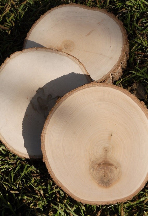 Items similar to 7"9" Wood Round Tree Slice, Wood Slab With Bark, Kiln