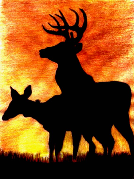 Print of Colored Pencil Drawing of a Buck and Doe Deer Against
