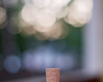 4GB Cork & Bottle USB Flash Drive