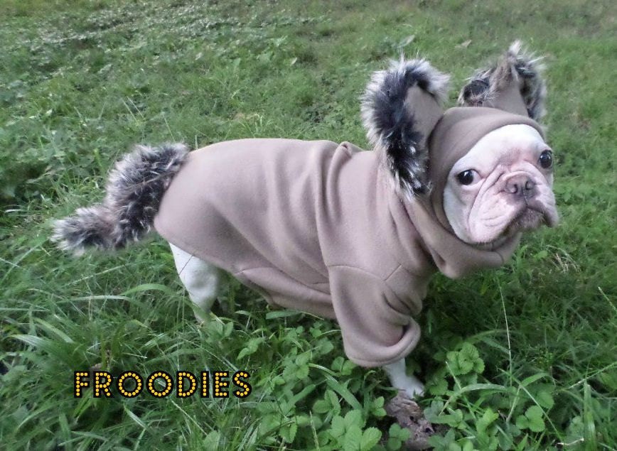 pugs fighting lions maybe we should abandon the terms quot pit bull quot and fighting and quotes pugs fighting lions maybe we should abandon the terms quot pit bull quot and fighting and quotes