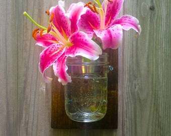 Mason Jar Wall Mount Decor, Mason Jar Planter, Mason Jar Holder