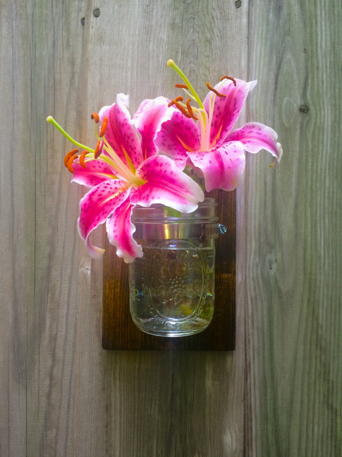 Mason Jar Wall Mount Decor Mason Jar Planter Mason Jar