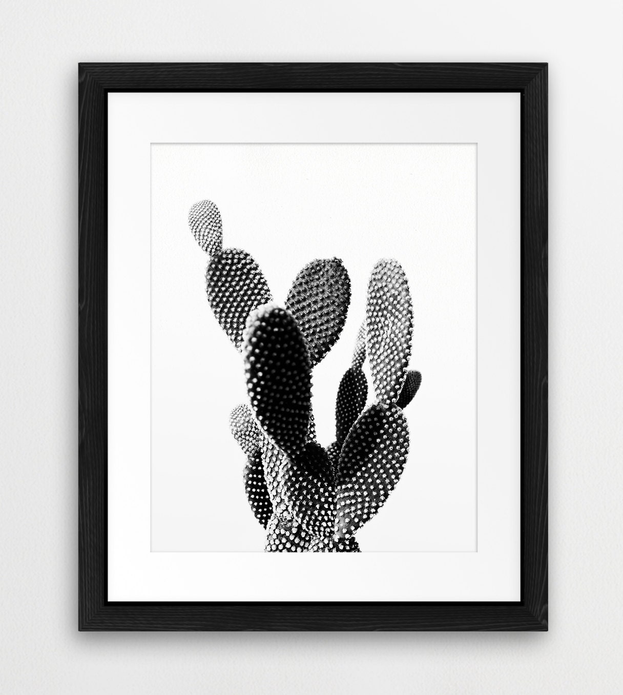 Cactus Print Desert Wall Art Cactus Photo Black And White