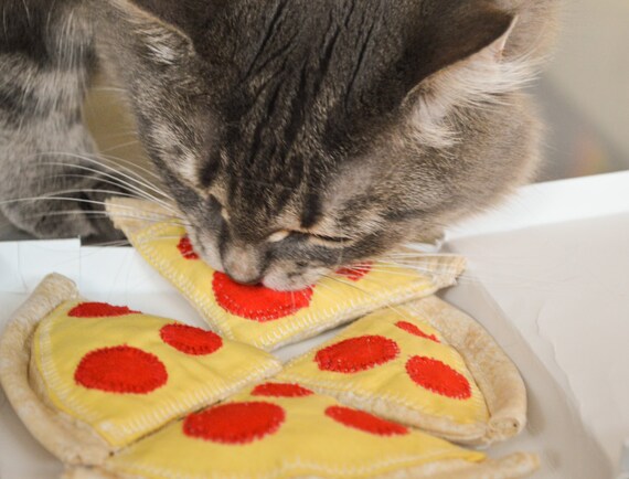 Catnip Pizza, pizza toy, pet lover gift, catnip toy