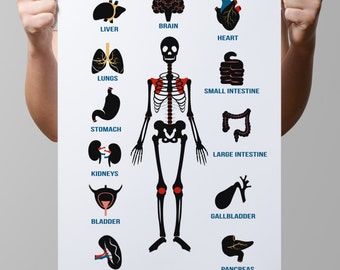 Human body diagram | Etsy