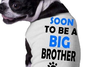 Soon To Be A Big Brother Dog Shirt with paws prints blue text - proud big brother doggy clothing - big bro on duty