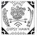 Gypsy Hawk