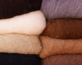 Needle Felting Wool Critters Color Collection 4 oz
