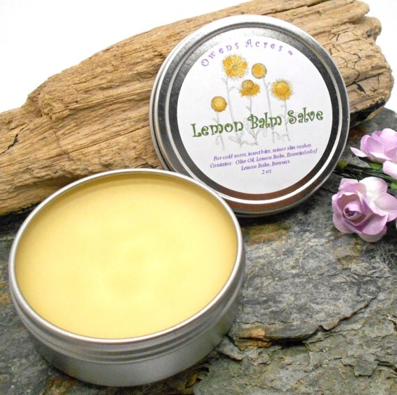 Lemon Balm Salve Lips Lip Balm Blister Insect Bites by OwensAcres