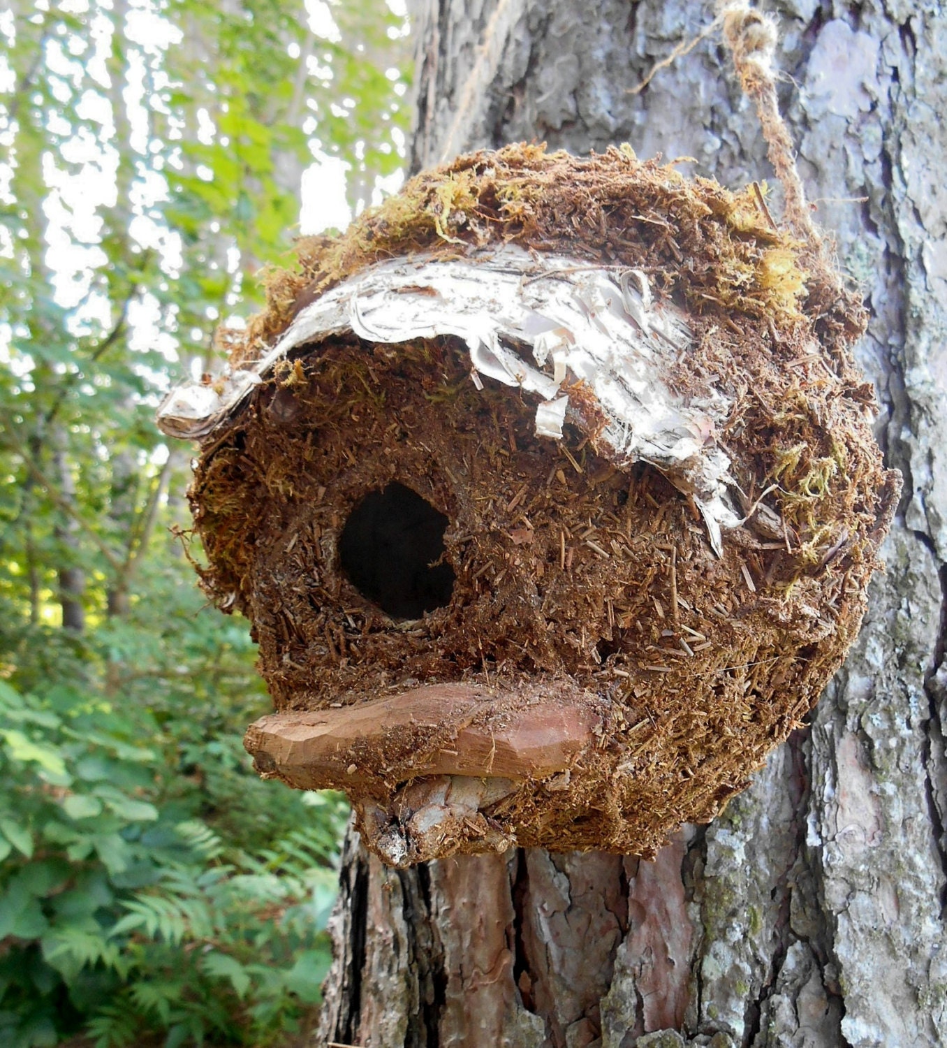 Natural Rustic Birdhouse with Driftwood Perch Unique bird