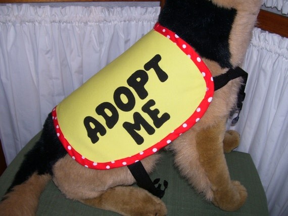 Dog Adopt Me Vest MEDIUM