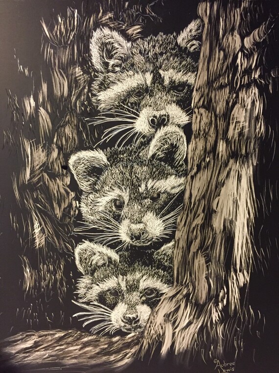 Raccoon babies scratch art print by Scratchthedetail on Etsy