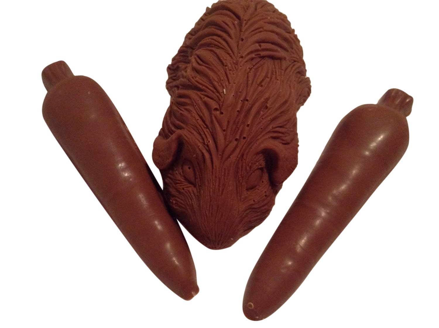 Chocolate Guinea Pig and Carrots