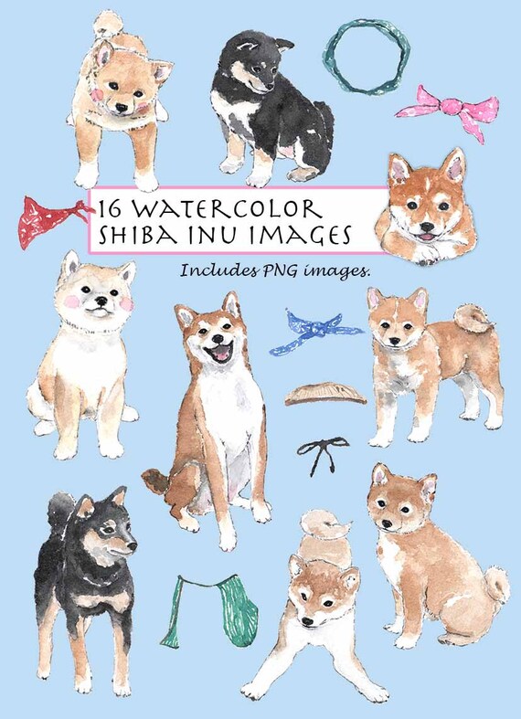 CLIP ART Watercolor Shiba Inu Set. 16 Images. Digital