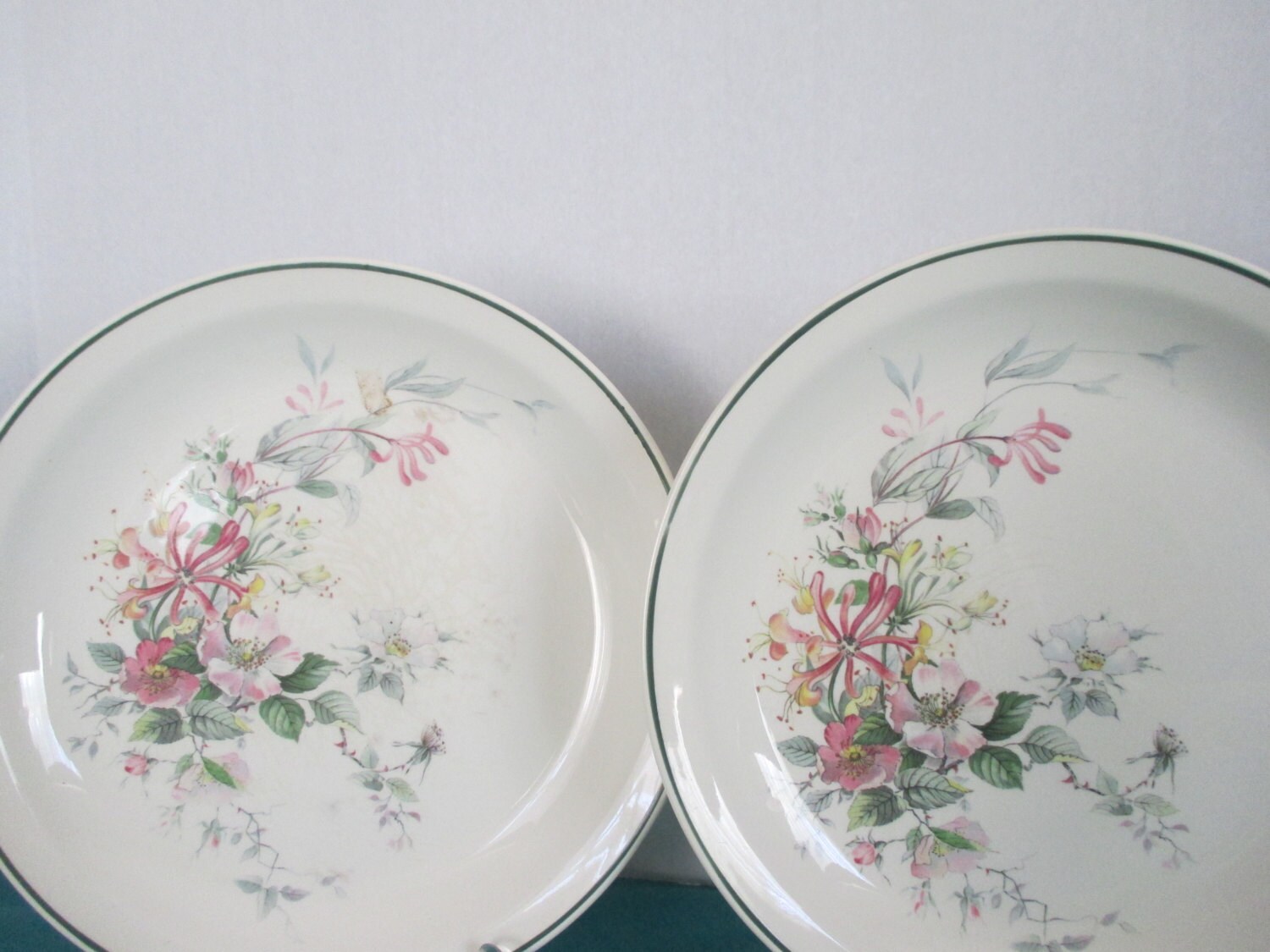Irish Dinnerware Green Edged plates Flowered pattern Dish