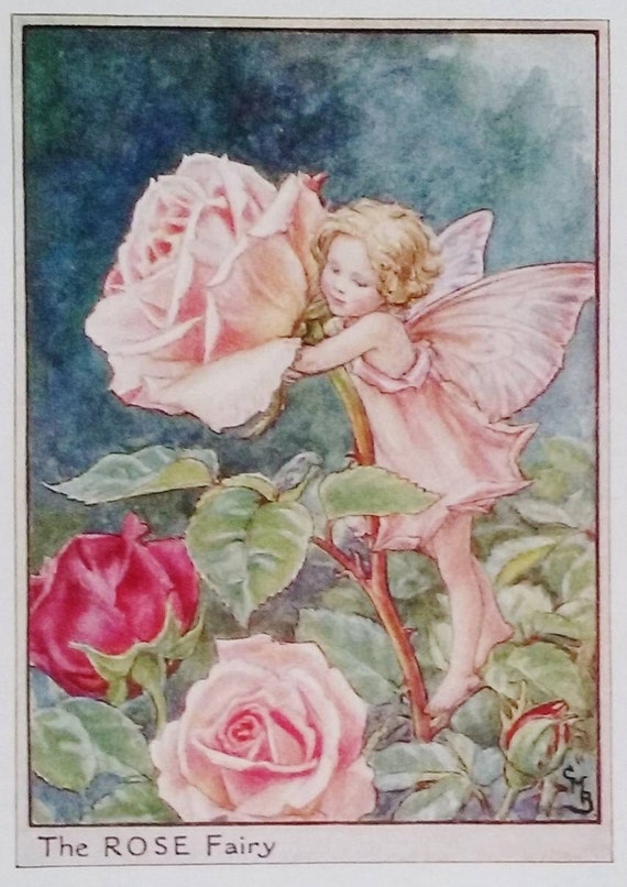 Rose Flower Fairy Vintage Print C 1950 Cicely Mary Barker