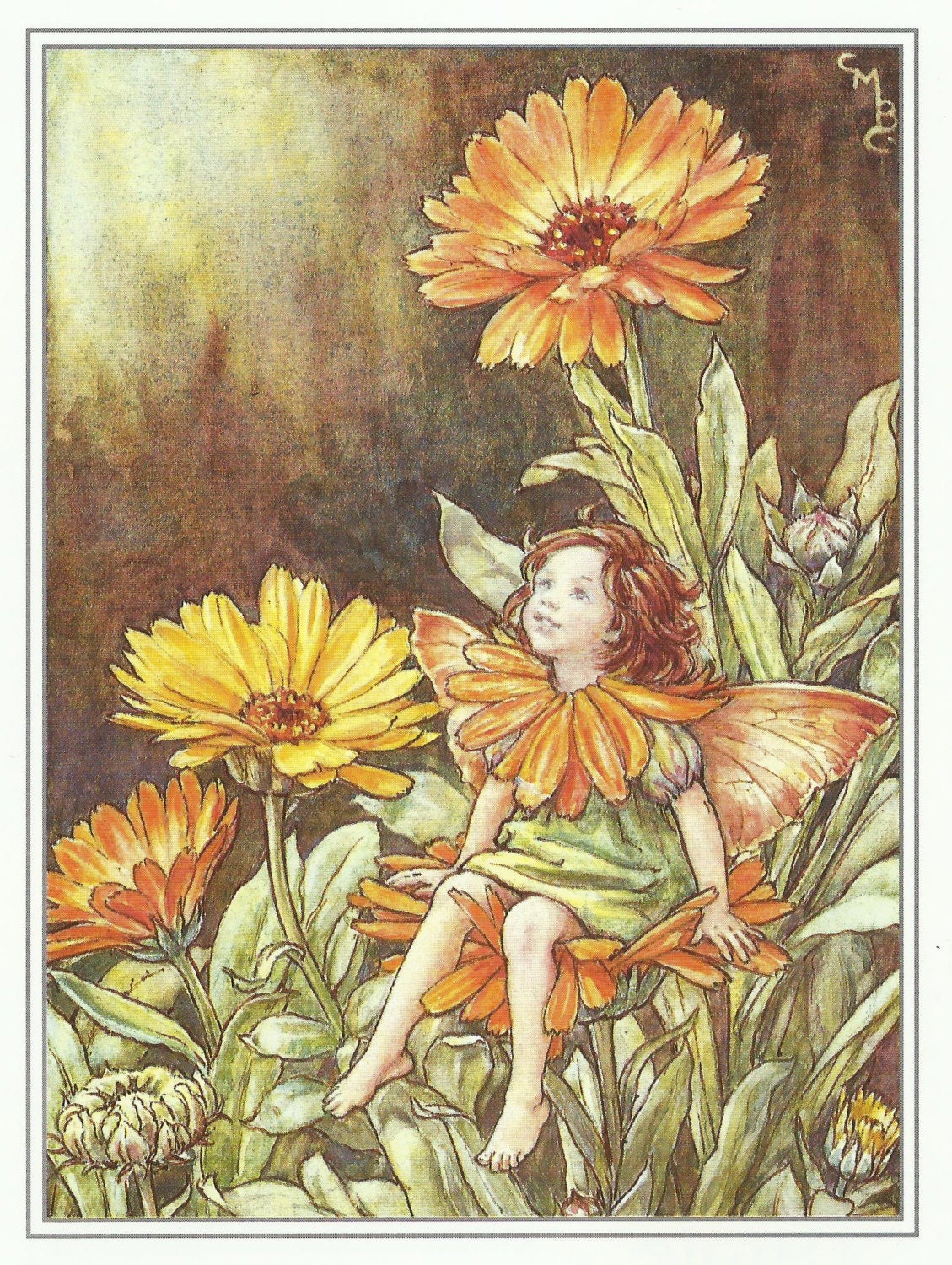 Marigold Fairy Cicely Mary Barker Flower Fairies Vintage Print