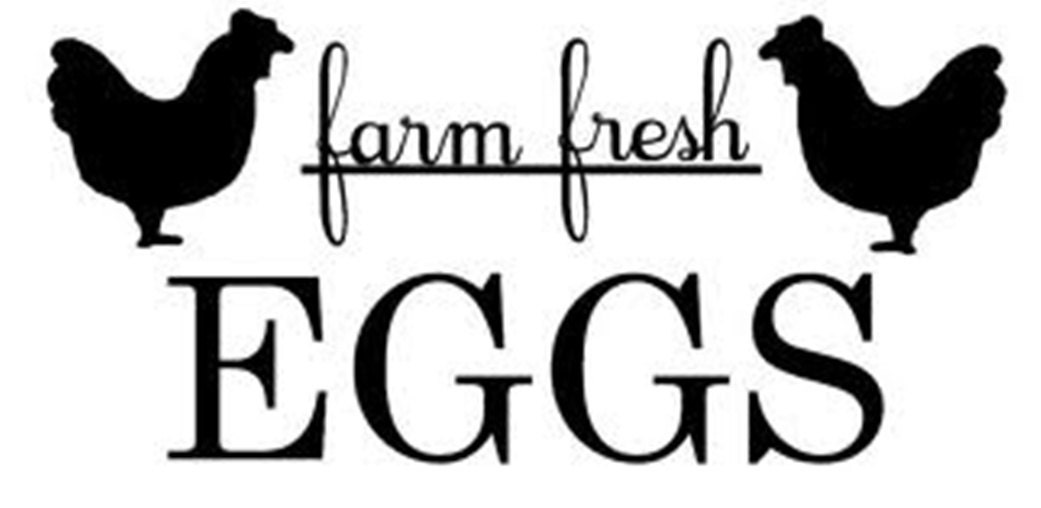 Chicken Wall Decal/Farm Fresh eggs by Adsforyou on Etsy