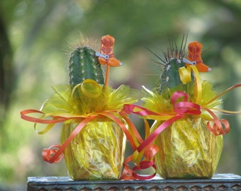 2 Decorated Mini Cactus Plant Party Favor Tex Mex Fiesta
