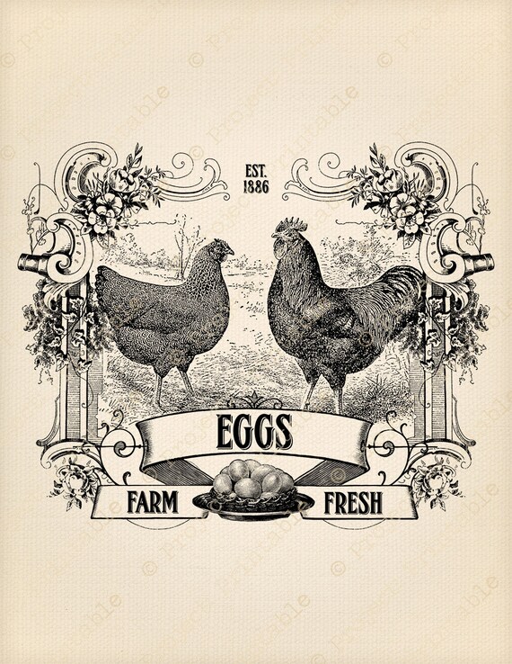 Instant Download Printable Farm Fresh Eggs Sign Chicken