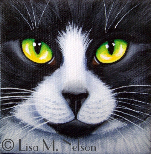 Original Tuxedo Black and White Cat Black Nose Face Macro