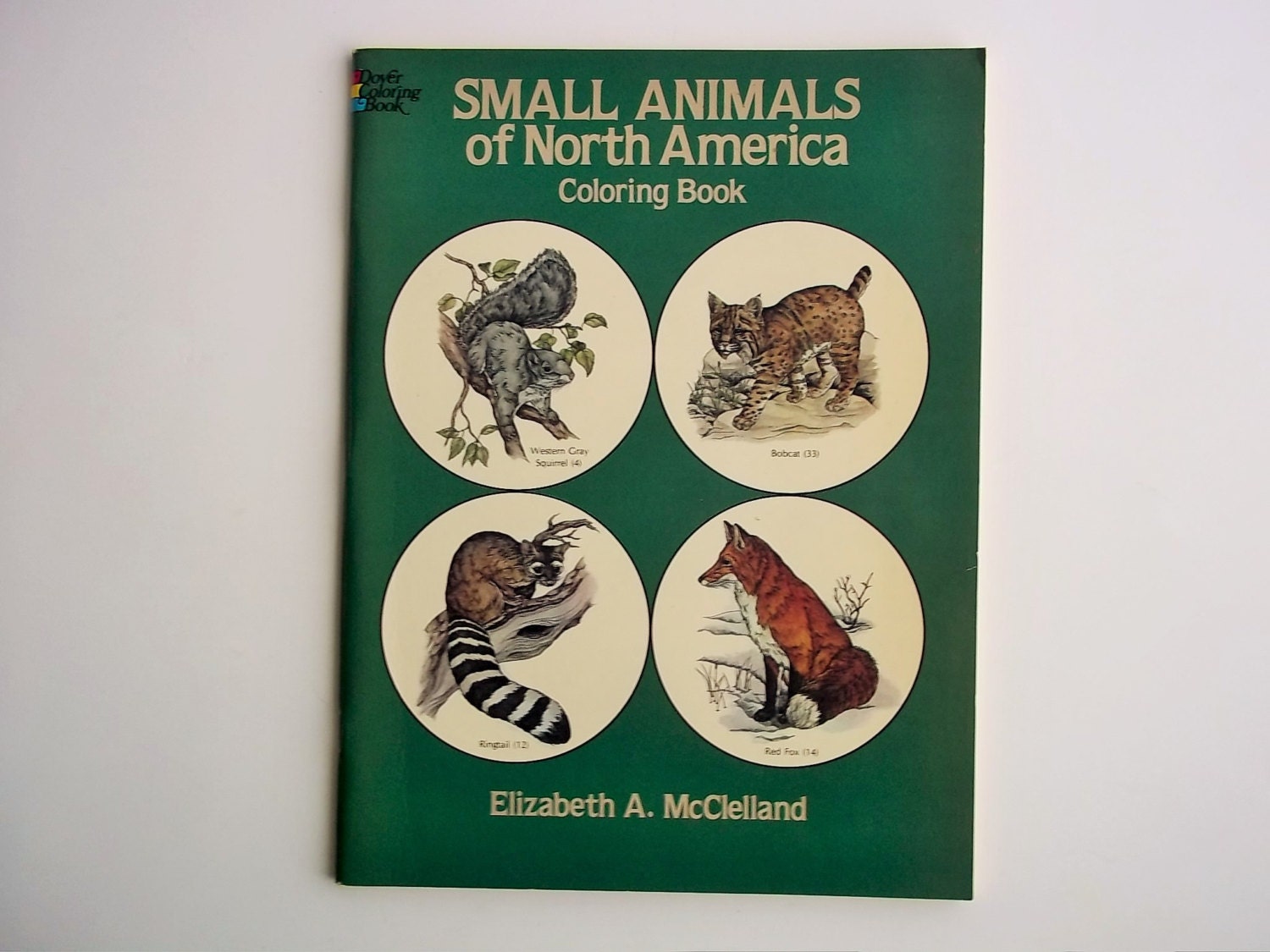 Coloring Book for Adults Small Animals of North America