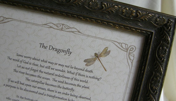 THE DRAGONFLY Comforting loss/grief framed by FramedBitsofWisdom