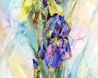 Watercolor Irises Clip Art Iris artwork Watercolor Iris