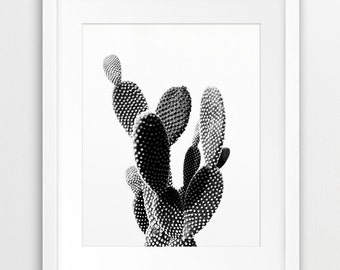Cactus Print, Desert Wall Art, Cactus Photo Black And White, Desert Photography, Modern Wall Art, Home Office Decor, Digital Printable Art