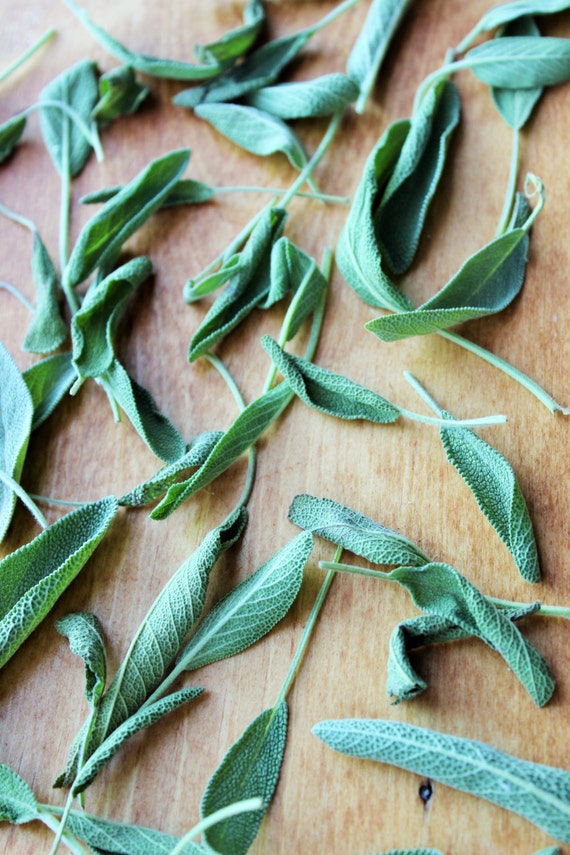 Dried common Sage Leaves/earth magic / by TheFarmhouseWitch