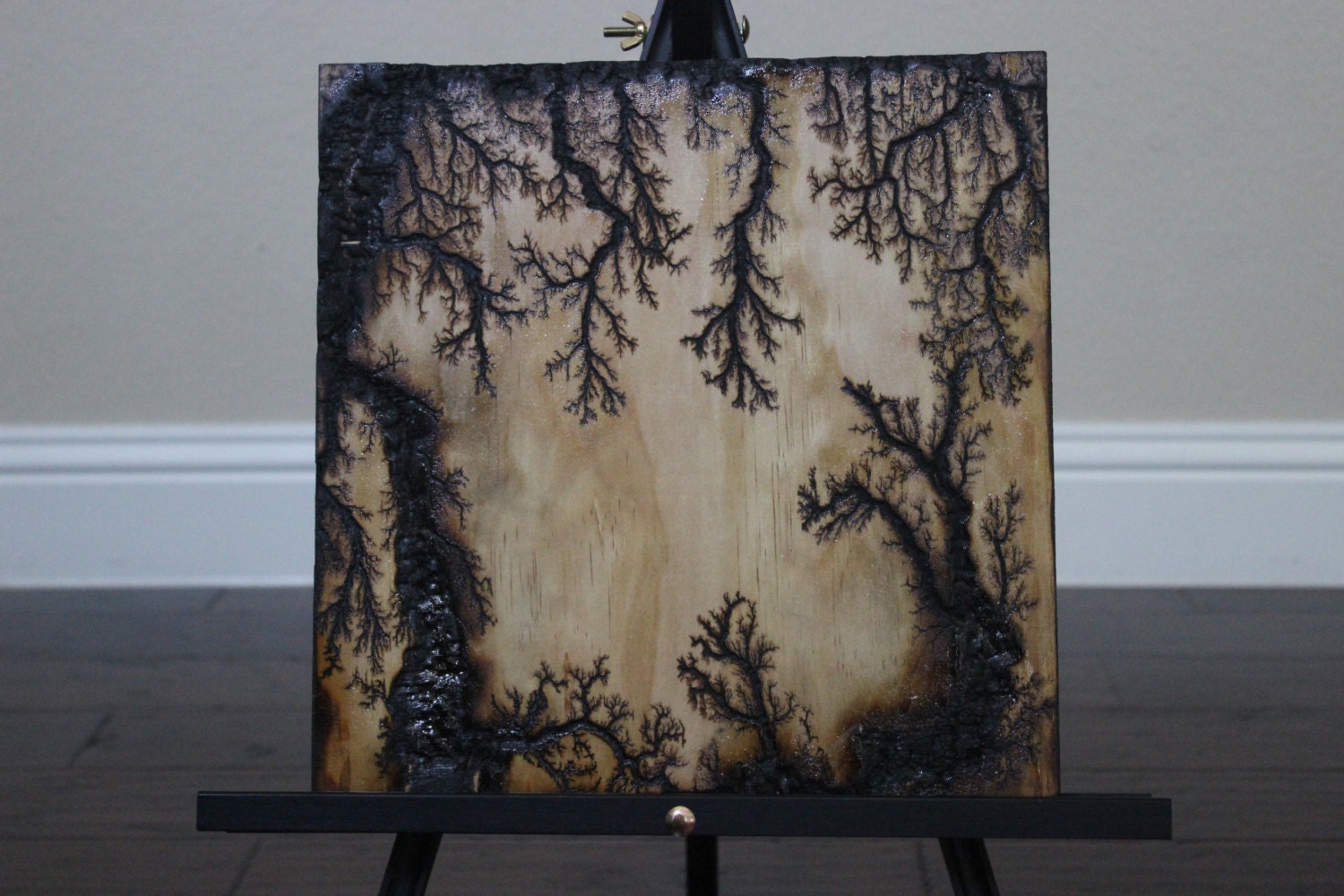 Lichtenberg Figure On Wood By Afflatusphotography On Etsy