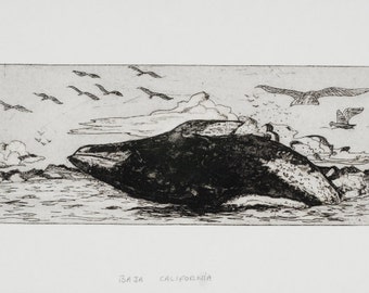 Whale Etching Print Original/ Baja Humpback Whale / black ink, acid free archival paper