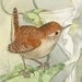 The Little Stitcher