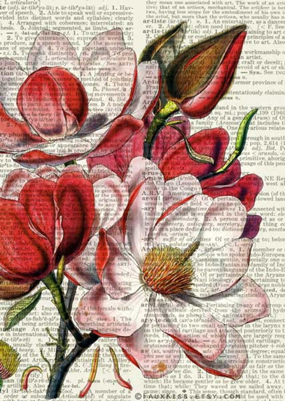 magnolia vintage unique by I magnolia dictionary Etsy on print FauxKiss