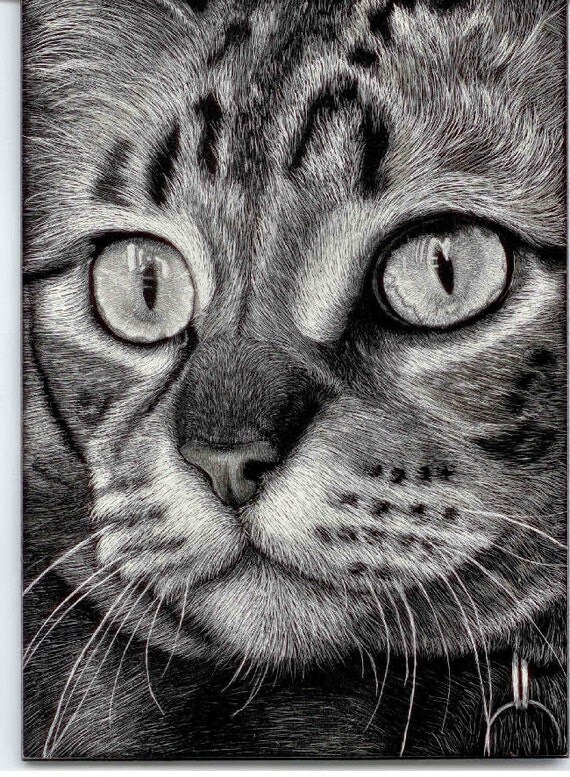 Original Scratchboard Realistic Tabby Cat cat art made on