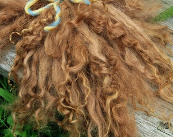 Long Suri Alpaca Locks, 10.5 Inches, Dark Fawn, 2 Ounces, Judy
