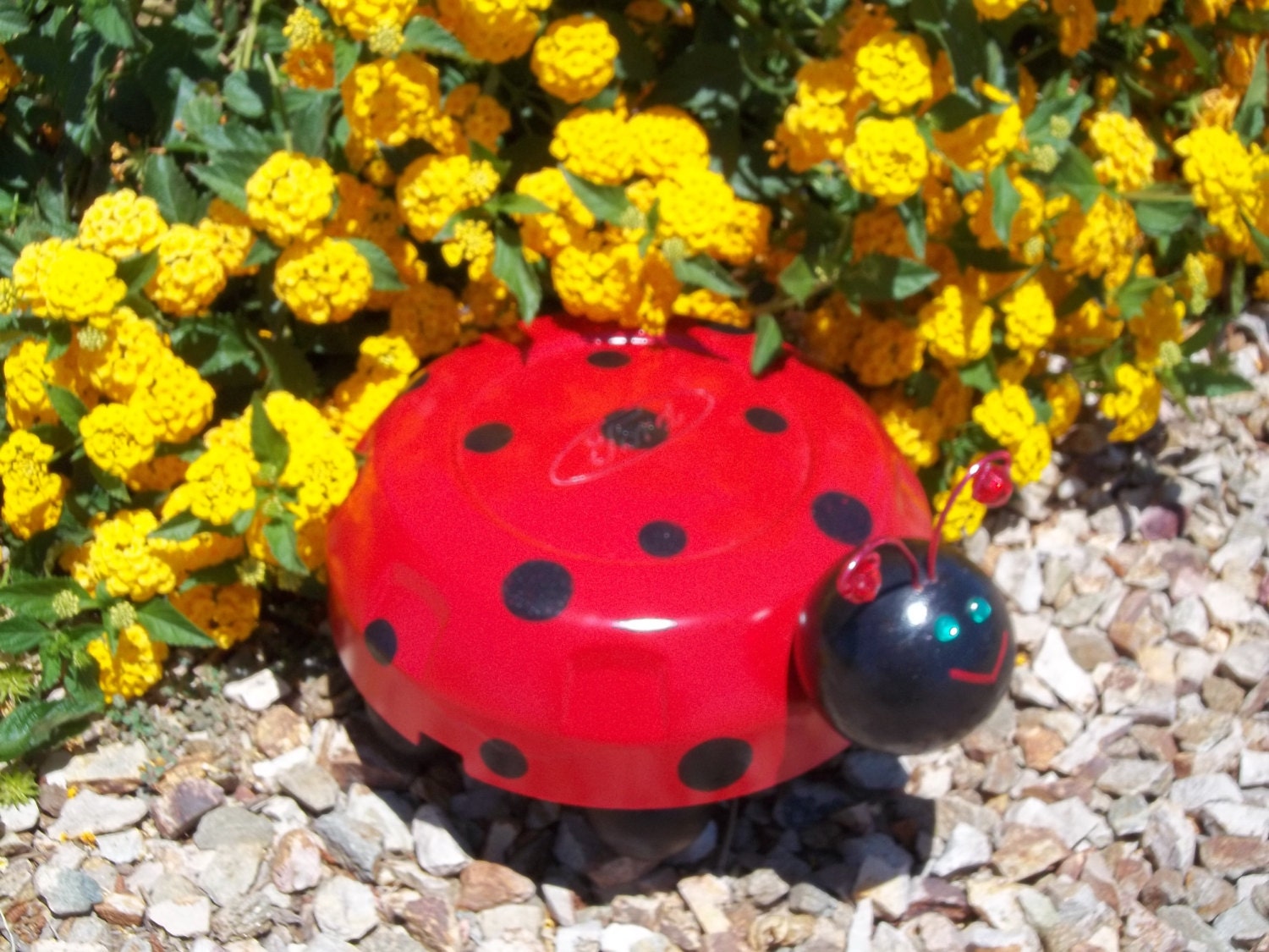 Ford Hubcap Art Ladybug Garden Art Red and Black Hub