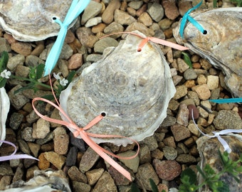 Shell ring box | Etsy
