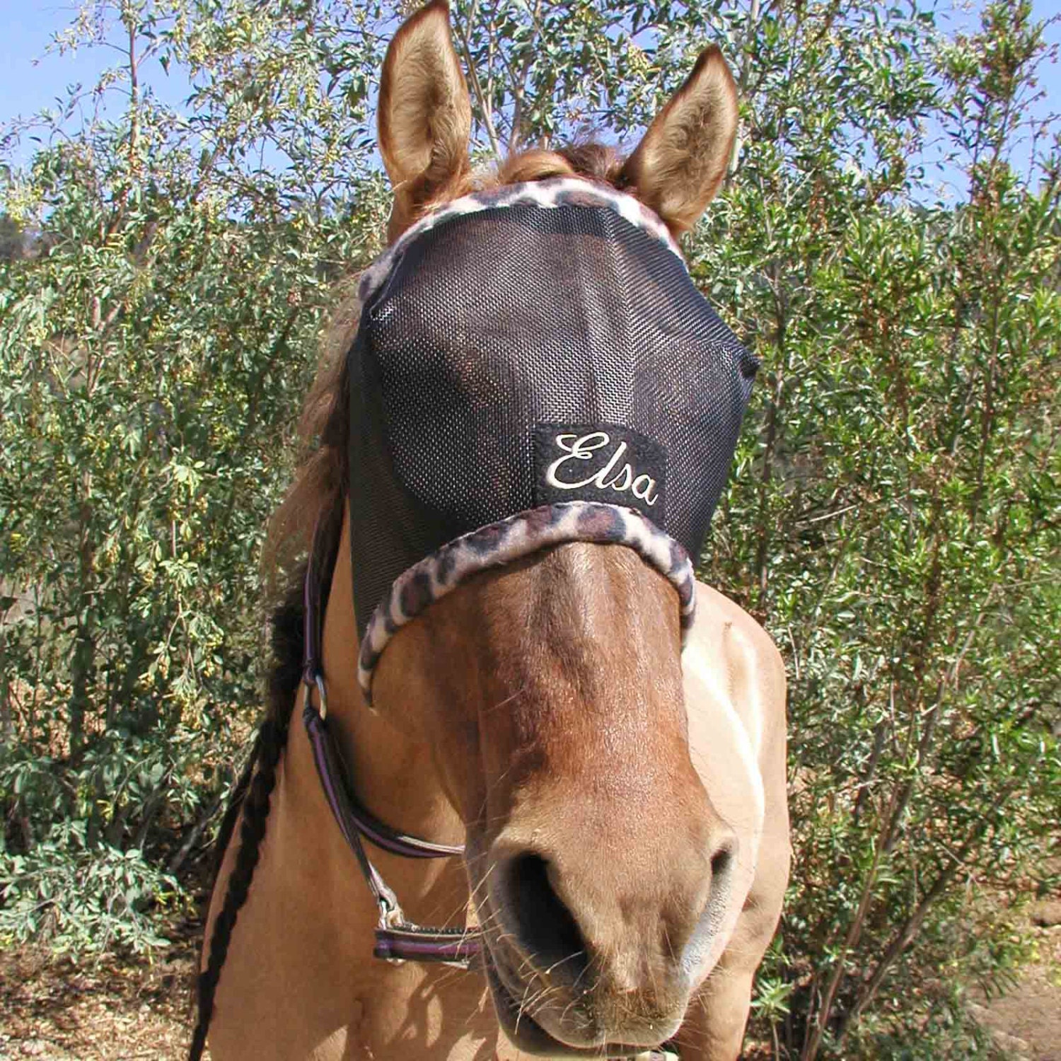 Custom Made Embroidered HORSE FLY MASK by BobbiGee's