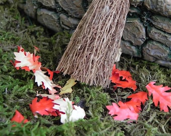 Botanical Miniature Dollhouse FAIRY GARDEN Succulent Accessories