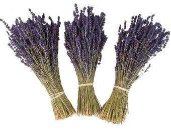 Lavender - Preserved Lavender - Provence Lavender - 2017 crop - Lavender Bunch - Lavender Bouquet - Bouquet - French Lavender -Wedding Decor