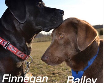 1" Sit Stay Speak Martingale Collar