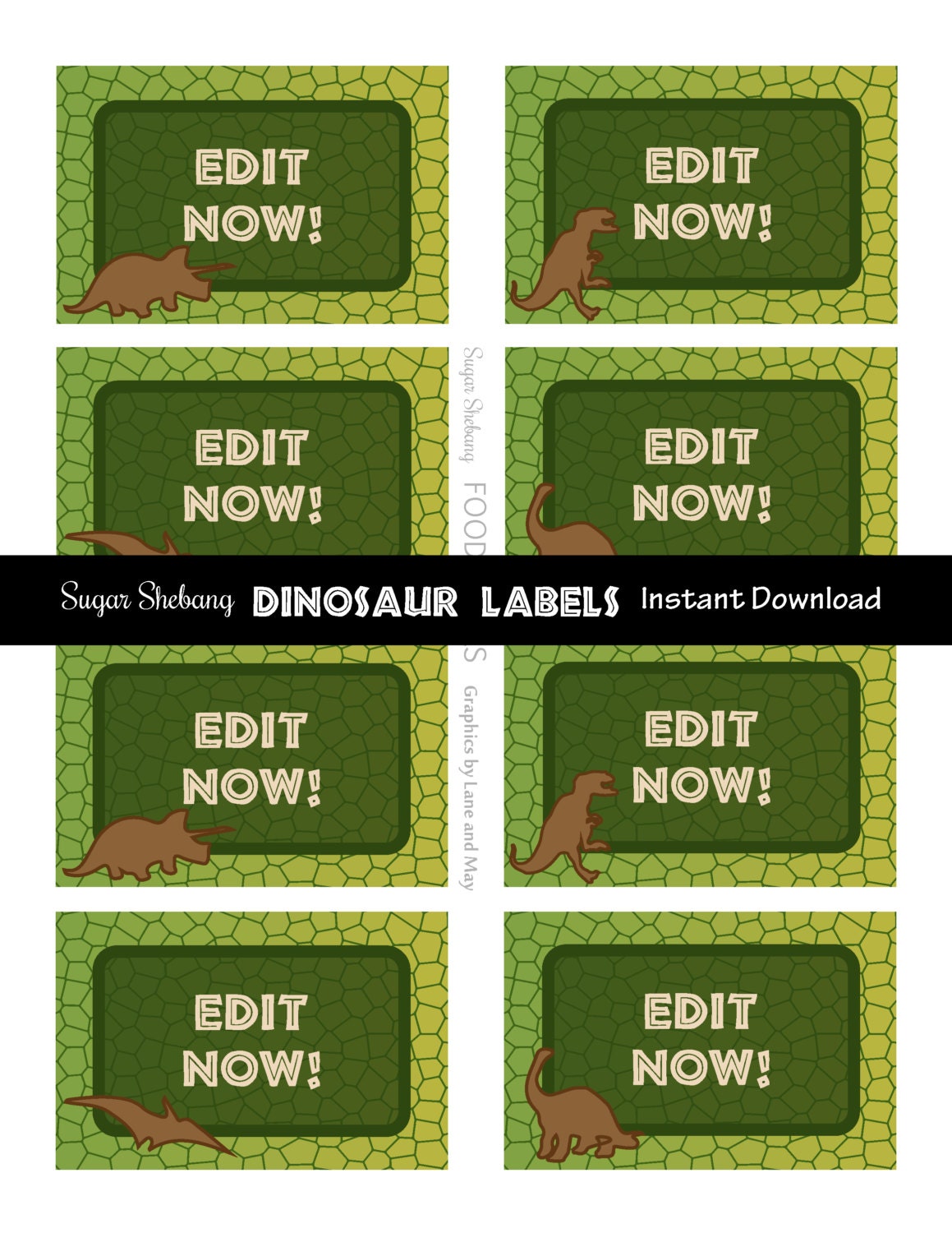 Dinosaur Food Labels Instantly Downloadable and Editable File