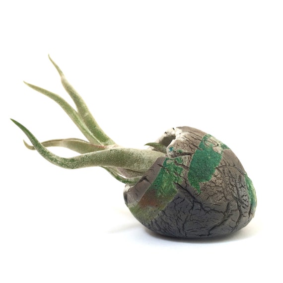 raku ring dish jewelry holder air plant holder raku ring dish jewelry holder air plant holder