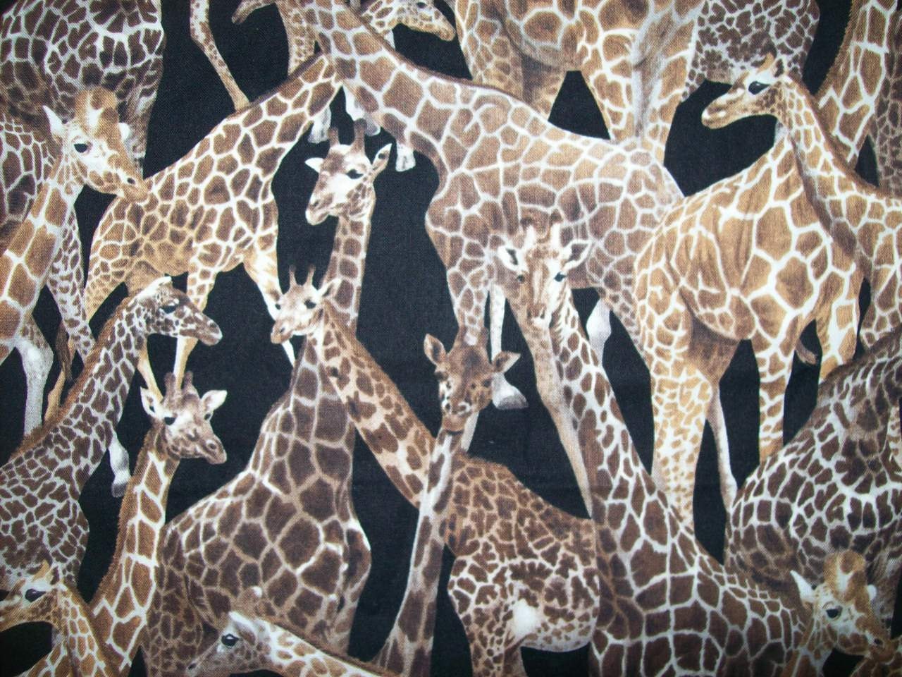 By the Yard Giraffe Fabric Living Wonders by Fabri quilt