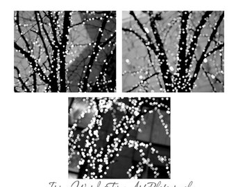 Black & white photography set abstract light bokeh photography, winter lighted tree decor dark grey modern wall art print set, white sparkle