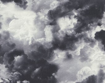 Gray Cloud Fabric Timeless Treasures Wicked Eve C3763, Cloud Landscape Fabric, Halloween Fabric, Stormy Sky Fabric, Gray Sky Fabric, Cotton